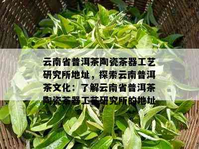 云南省普洱茶陶瓷茶器工艺研究所地址，探索云南普洱茶文化：了解云南省普洱茶陶瓷茶器工艺研究所的地址