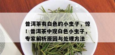 普洱茶有白色的小虫子，惊！普洱茶中现白色小虫子，专家解析原因与处理方法