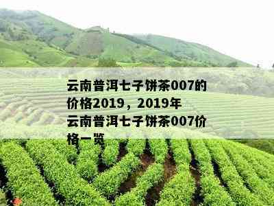 云南普洱七子饼茶007的价格2019，2019年云南普洱七子饼茶007价格一览