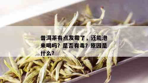 普洱茶有点发霉了，还能泡来喝吗？是否有？原因是什么？