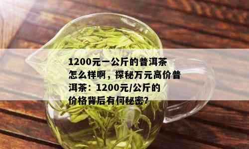 1200元一公斤的普洱茶怎么样啊，探秘万元高价普洱茶：1200元/公斤的价格背后有何秘密？