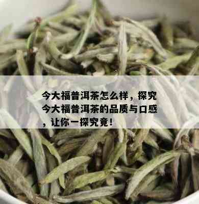 今大福普洱茶怎么样，探究今大福普洱茶的品质与口感，让你一探究竟！