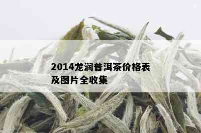 2014龙润普洱茶价格表及图片全收集