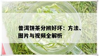 普洱饼茶分辨好坏：方法、图片与视频全解析