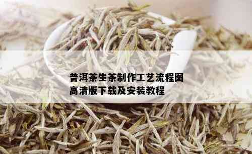 普洱茶生茶制作工艺流程图高清版下载及安装教程