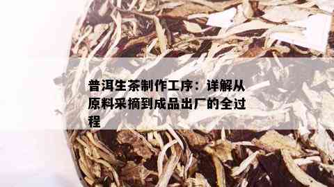 普洱生茶制作工序：详解从原料采摘到成品出厂的全过程