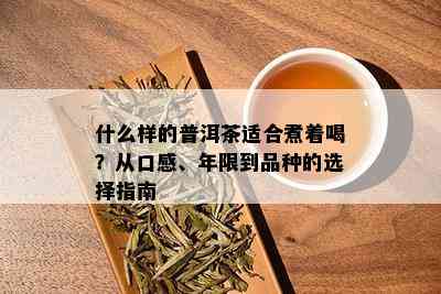 什么样的普洱茶适合煮着喝？从口感、年限到品种的选择指南