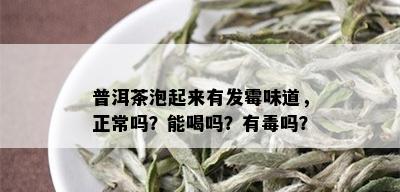 普洱茶泡起来有发霉味道，正常吗？能喝吗？有吗？