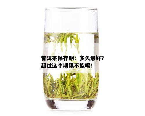 普洱茶保存期：多久更好？超过这个期限不能喝！