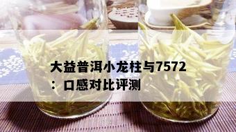 大益普洱小龙柱与7572：口感对比评测