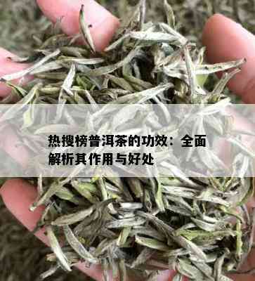 热搜榜普洱茶的功效：全面解析其作用与好处