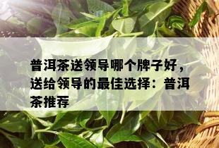 普洱茶送领导哪个牌子好，送给领导的更佳选择：普洱茶推荐