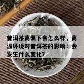 普洱茶高温下会怎么样，高温环境对普洱茶的影响：会发生什么变化？