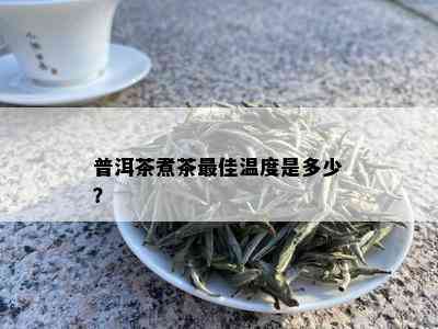 普洱茶煮茶更佳温度是多少？