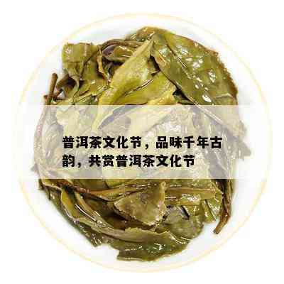 普洱茶文化节，品味千年古韵，共赏普洱茶文化节