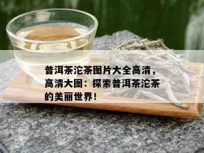 普洱茶沱茶图片大全高清，高清大图：探索普洱茶沱茶的美丽世界！