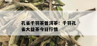 孔雀千羽茶普洱茶：千羽孔雀大益茶今日行情