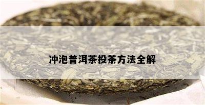 冲泡普洱茶投茶方法全解