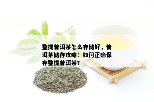 整提普洱茶怎么存储好，普洱茶储存攻略：如何正确保存整提普洱茶？