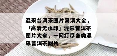 混采普洱茶图片高清大全，「高清无水印」混采普洱茶图片大全，一网打尽各类混采普洱茶图片