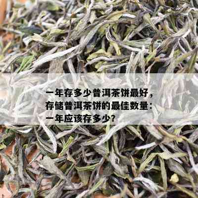 一年存多少普洱茶饼更好，存储普洱茶饼的更佳数量：一年应该存多少？