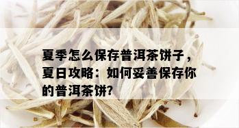 夏季怎么保存普洱茶饼子，夏日攻略：如何妥善保存你的普洱茶饼？