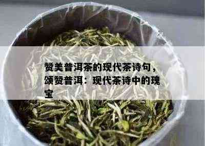 赞美普洱茶的现代茶诗句，颂赞普洱：现代茶诗中的瑰宝