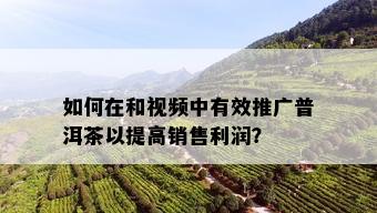 如何在和视频中有效推广普洱茶以提高销售利润？