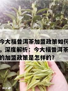 今大福普洱茶加盟政策如何，深度解析：今大福普洱茶的加盟政策是怎样的？