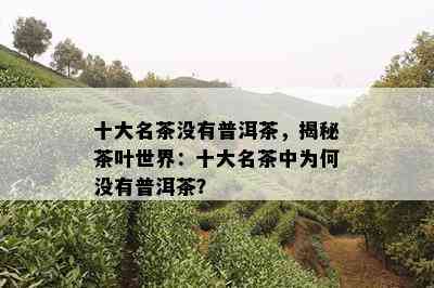 十大名茶没有普洱茶，揭秘茶叶世界：十大名茶中为何没有普洱茶？