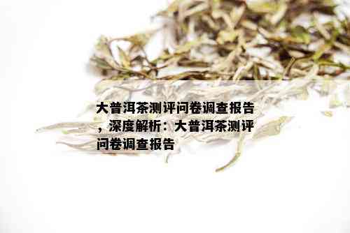 大普洱茶测评问卷调查报告，深度解析：大普洱茶测评问卷调查报告