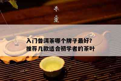 入门普洱茶哪个牌子更好？推荐几款适合初学者的茶叶