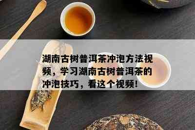 湖南古树普洱茶冲泡方法视频，学习湖南古树普洱茶的冲泡技巧，看这个视频！