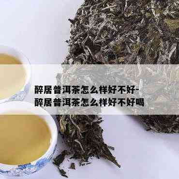 醉居普洱茶怎么样好不好-醉居普洱茶怎么样好不好喝