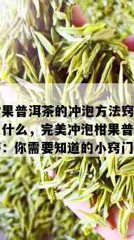 柑果普洱茶的冲泡方法窍门是什么，完美冲泡柑果普洱茶：你需要知道的小窍门