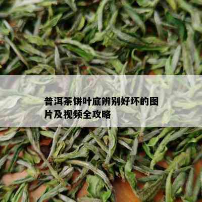 普洱茶饼叶底辨别好坏的图片及视频全攻略