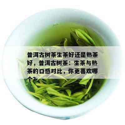 普洱古树茶生茶好还是熟茶好，普洱古树茶：生茶与熟茶的口感对比，你更喜欢哪个？