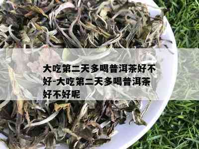 大吃第二天多喝普洱茶好不好-大吃第二天多喝普洱茶好不好呢