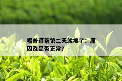 喝普洱茶第二天就瘦了：原因及是否正常？