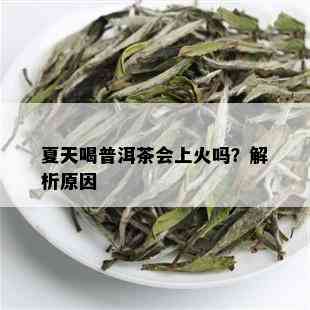 夏天喝普洱茶会上火吗？解析原因