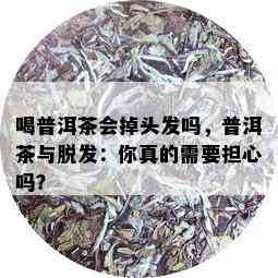 喝普洱茶会掉头发吗，普洱茶与脱发：你真的需要担心吗？