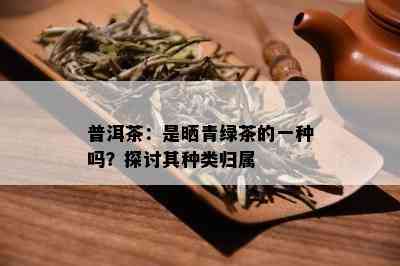 普洱茶：是晒青绿茶的一种吗？探讨其种类归属