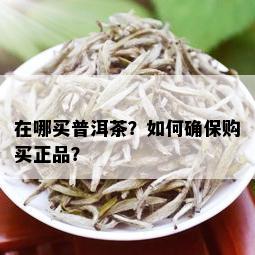 在哪买普洱茶？如何确保购买正品？