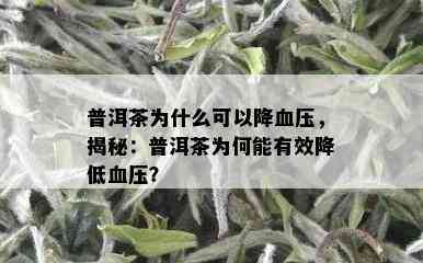 普洱茶为什么可以降血压，揭秘：普洱茶为何能有效降低血压？