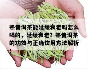 熟普洱茶能延缓衰老吗怎么喝的，延缓衰老？熟普洱茶的功效与正确饮用方法解析！