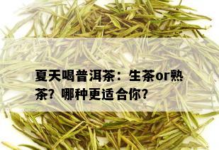 夏天喝普洱茶：生茶or熟茶？哪种更适合你？