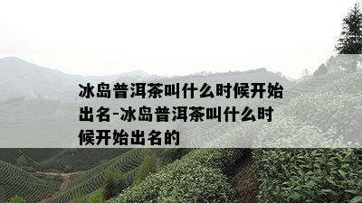 冰岛普洱茶叫什么时候开始出名-冰岛普洱茶叫什么时候开始出名的