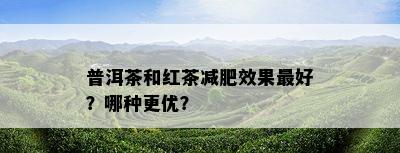 普洱茶和红茶减肥效果更好？哪种更优？