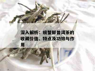 深入解析：螃蟹脚普洱茶的收藏价值、特点及功效与作用