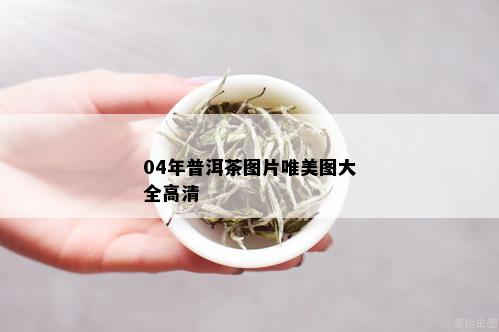 04年普洱茶图片唯美图大全高清